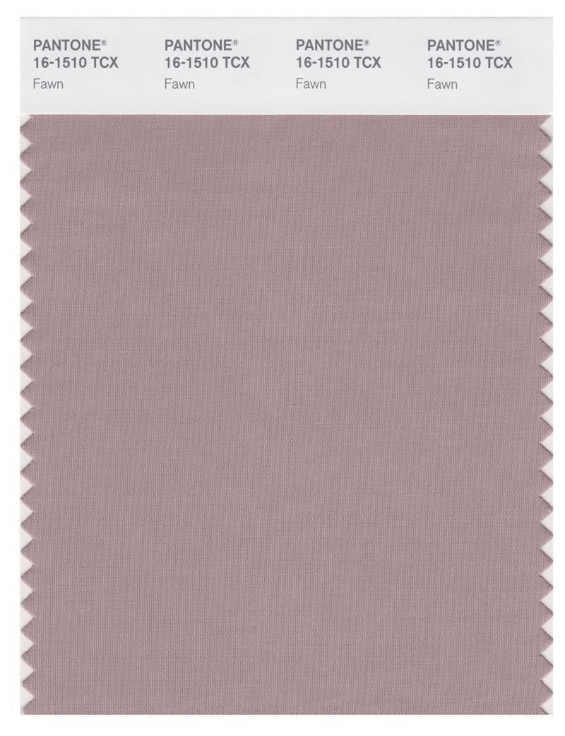 Pantone Smart 16-1510 TCX Color Swatch Card | Fawn | Magazine Cafe