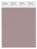 Pantone Smart 16-1510 TCX Color Swatch Card | Fawn