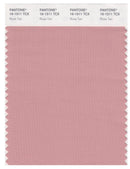Pantone Smart 16-1511 TCX Color Swatch Card | Rose Tan