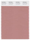 Pantone Smart 16-1516 TCX Color Swatch Card | Cameo Brown