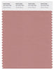 Pantone Smart 16-1516 TCX Color Swatch Card | Cameo Brown