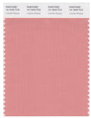 Pantone Smart 16-1520 TCX Color Swatch Card | Lobster Bisque