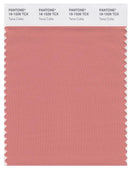 Pantone Smart 16-1526 TCX Color Swatch Card | Terra Cotta