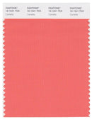 Pantone Smart 16-1541 TCX Color Swatch Card | Camellia
