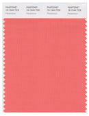 Pantone Smart 16-1544 TCX Color Swatch Card | Persimmon