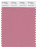 Pantone Smart 16-1610 TCX Color Swatch Card | Brandied Apricot