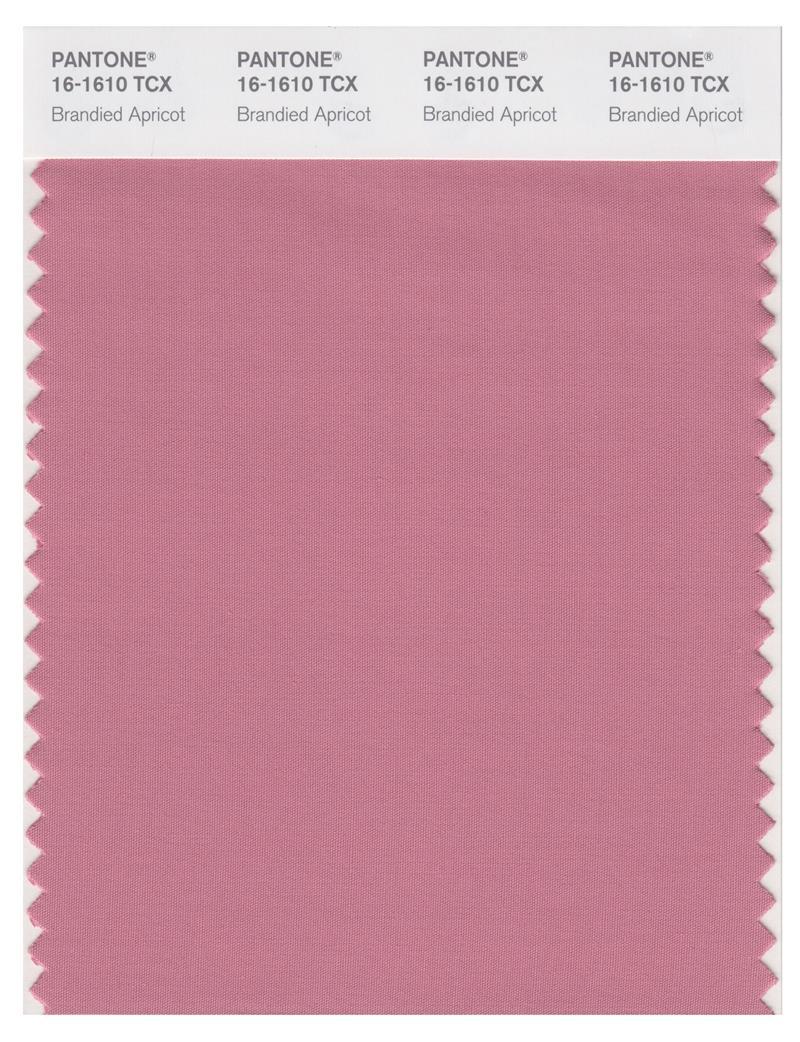 Pantone Smart 16-1610 TCX Color Swatch Card | Brandied Apricot