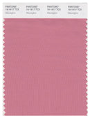 Pantone Smart 16-1617 TCX Color Swatch Card | Mauveglow