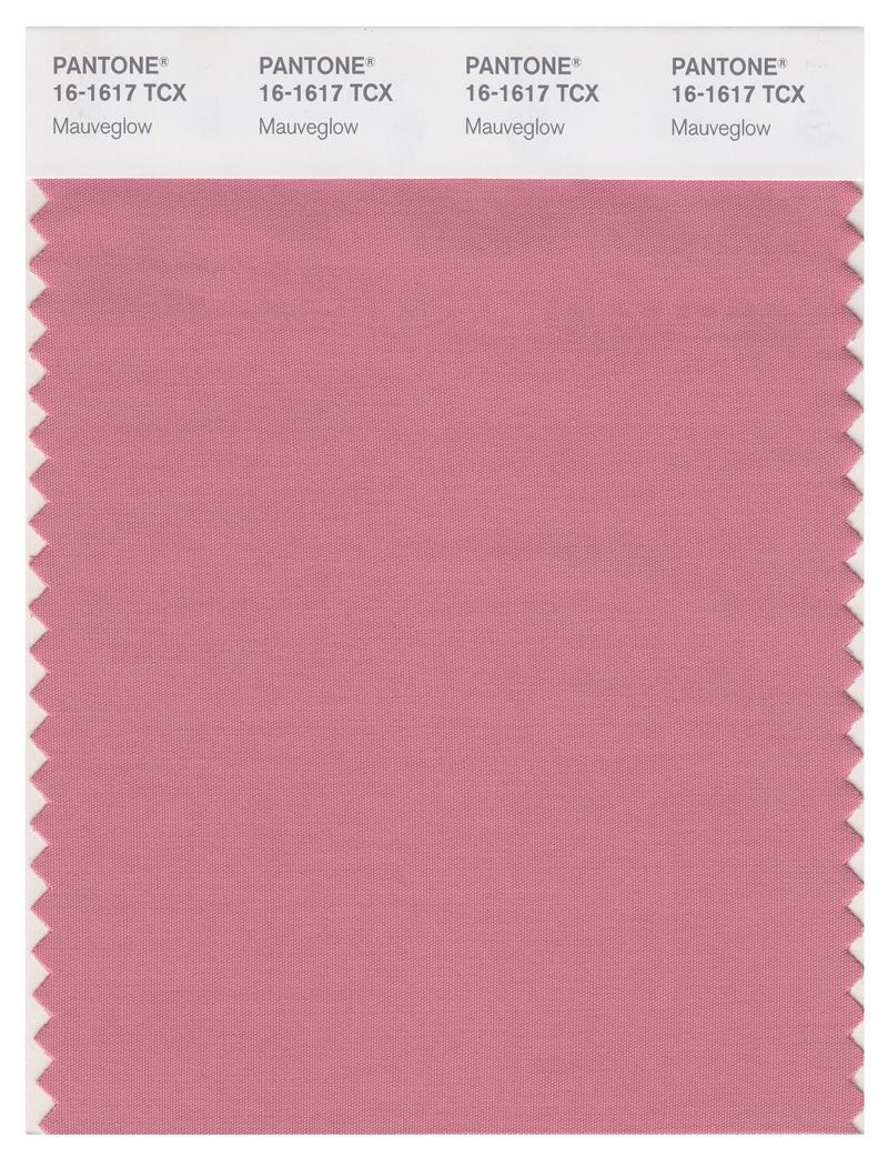 Pantone Smart 16-1617 TCX Color Swatch Card | Mauveglow