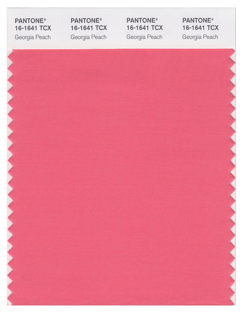 Pantone Smart 16-1641 TCX Color Swatch Card | Georgia Peach