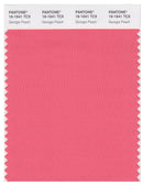 Pantone Smart 16-1641 TCX Color Swatch Card | Georgia Peach