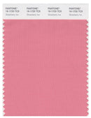 Pantone Smart 16-1720 TCX Color Swatch Card | Strawberry Ice