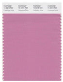 Pantone Smart 16-2215 TCX Color Swatch Card | Cashmere Rose