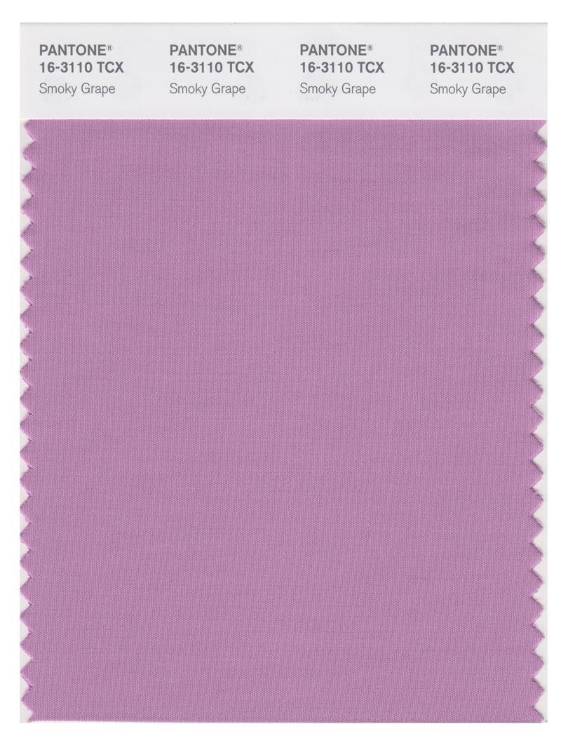Pantone Smart 16-3110 TCX Color Swatch Card | Smoky Grape