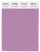Pantone Smart 16-3110 TCX Color Swatch Card | Smoky Grape
