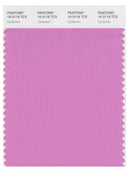 Pantone Smart 16-3118 TCX Color Swatch Card | Cyclamen