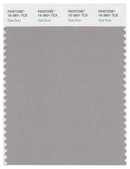 Pantone Smart 16-3801 TCX Color Swatch Card | Opal Gray