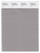 Pantone Smart 16-3802 TCX Color Swatch Card | Ash