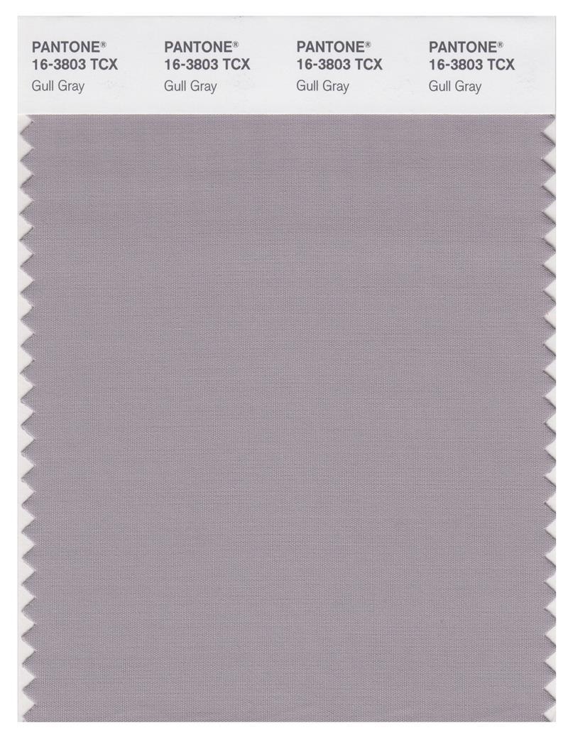 Pantone Smart 16-3803 TCX Color Swatch Card | Gull Gray | Magazine