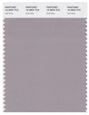 Pantone Smart 16-3803 TCX Color Swatch Card | Gull Gray