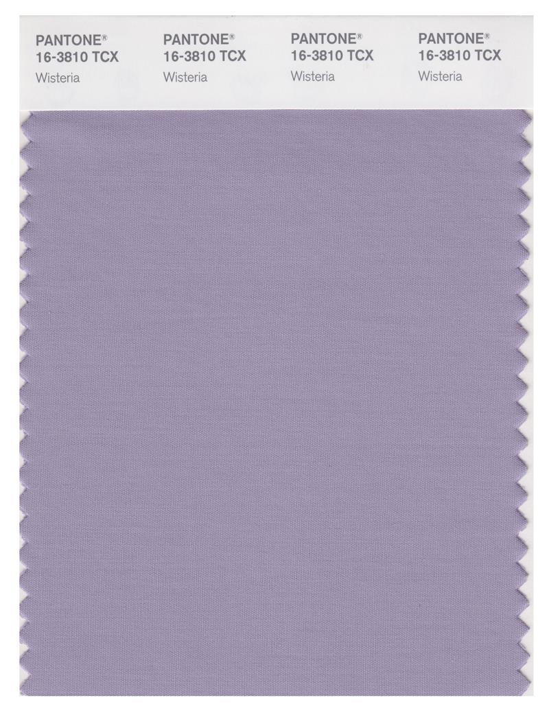 PANTONE LLICS Solid Coated 色見本 Pantone Smart 16-3810 TCX Color Swatch Card | Wisteria | Magazine