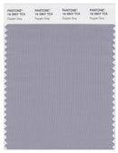 Pantone Smart 16-3907 TCX Color Swatch Card | Dapple Gray