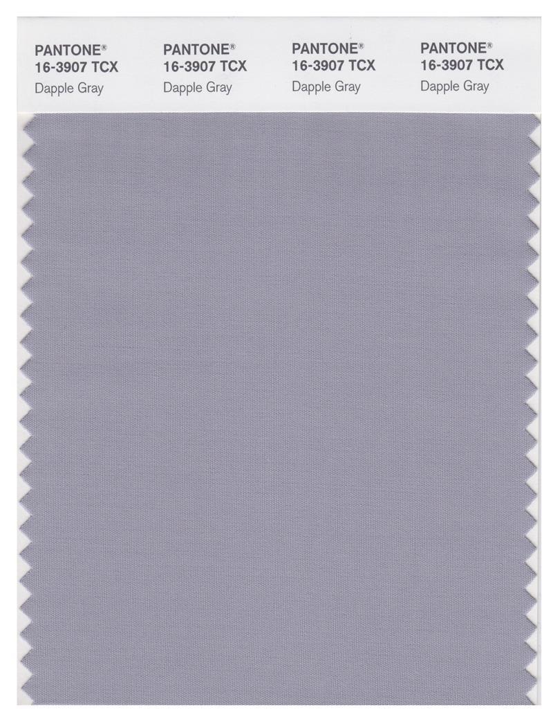Pantone Smart 16-3907 TCX Color Swatch Card | Dapple Gray