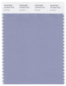 Pantone Smart 16-3919 TCX Color Swatch Card | Eventide