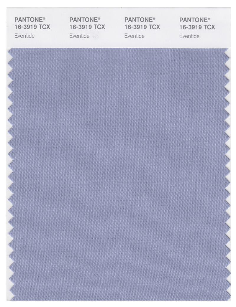 Pantone Smart 16-3919 TCX Color Swatch Card | Eventide