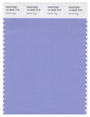 Pantone Smart 16-3925 TCX Color Swatch Card | Easter Egg