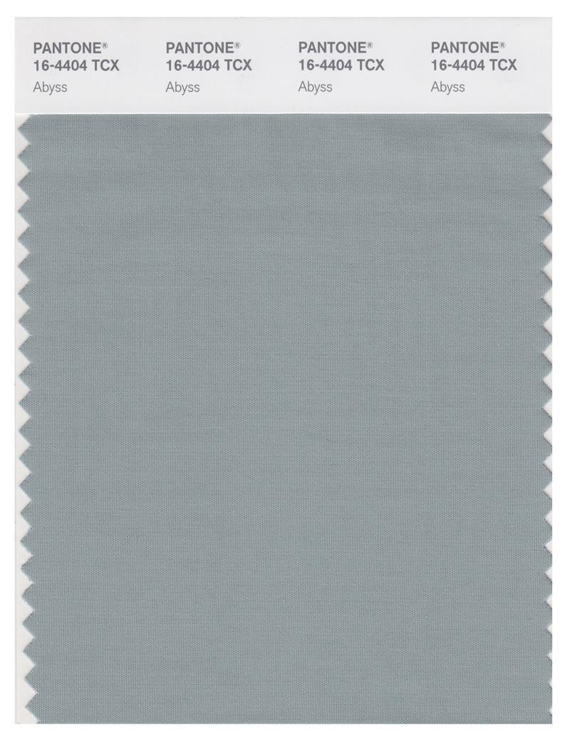 Pantone Smart 16-4404 TCX Color Swatch Card | Abyss