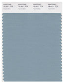 Pantone Smart 16-4411 TCX Color Swatch Card | Tourmaline