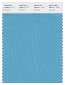 Pantone Smart 16-4421 TCX Color Swatch Card | Blue Mist