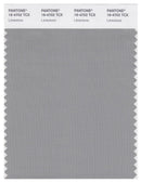 Pantone Smart 16-4702 TCX Color Swatch Card | Limestone