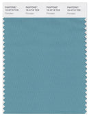 Pantone Smart 16-4719 TCX Color Swatch Card | Porcelain