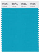 Pantone Smart 16-4725 TCX Color Swatch Card | Scuba Blue