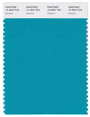 Pantone Smart 16-4834 TCX Color Swatch Card | Bluebird
