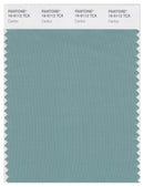Pantone Smart 16-5112 TCX Color Swatch Card | Canton