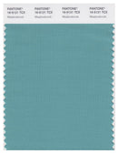 Pantone Smart 16-5121 TCX Color Swatch Card | Meadowbrook