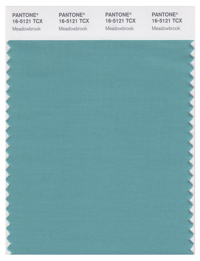 Caton Color Code Pantone Smart 16-5121 TCX Color Swatch Card | Meadowbrook | Magazine ...