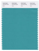 Pantone Smart 16-5123 TCX Color Swatch Card | Baltic