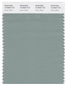 Pantone Smart 16-5806 TCX Color Swatch Card | Green Milieu