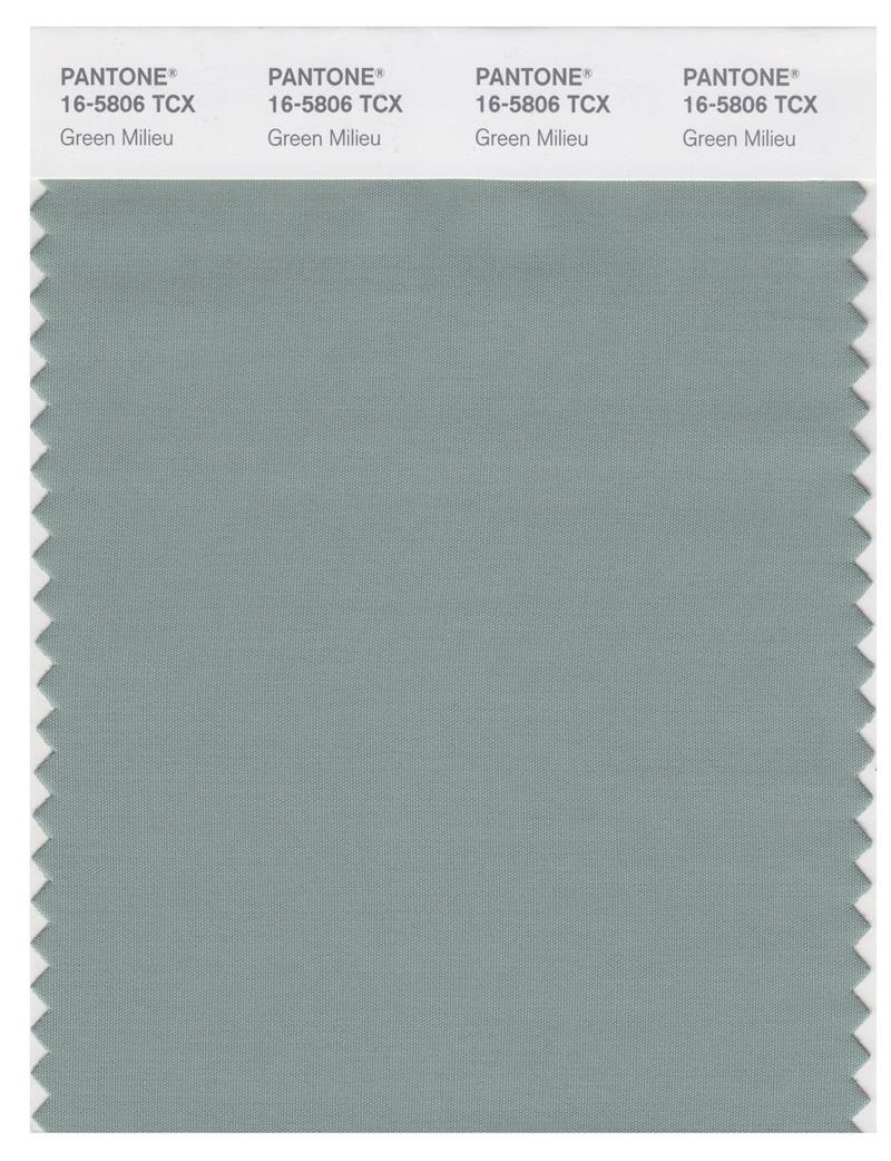 Pantone Smart 16-5806 TCX Color Swatch Card | Green Milieu