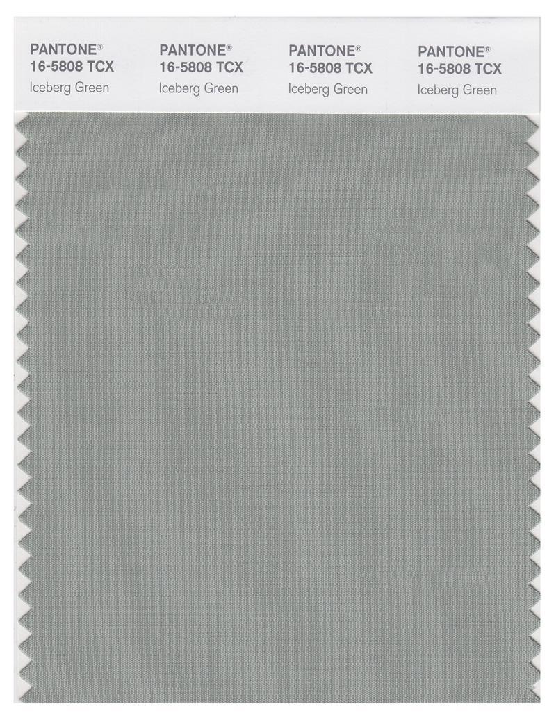 Pantone Smart 16-5808 TCX Color Swatch Card | Iceberg Green