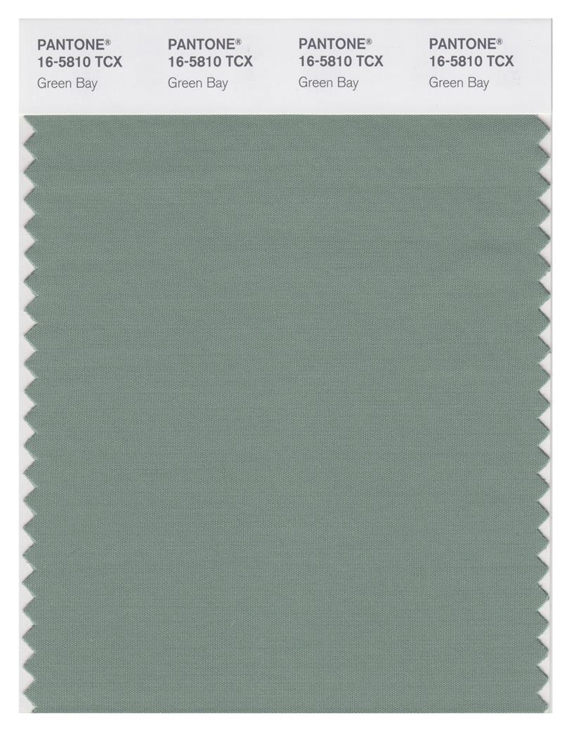 Pantone Smart 16-5810 TCX Color Swatch Card | Green Bay | Magazine