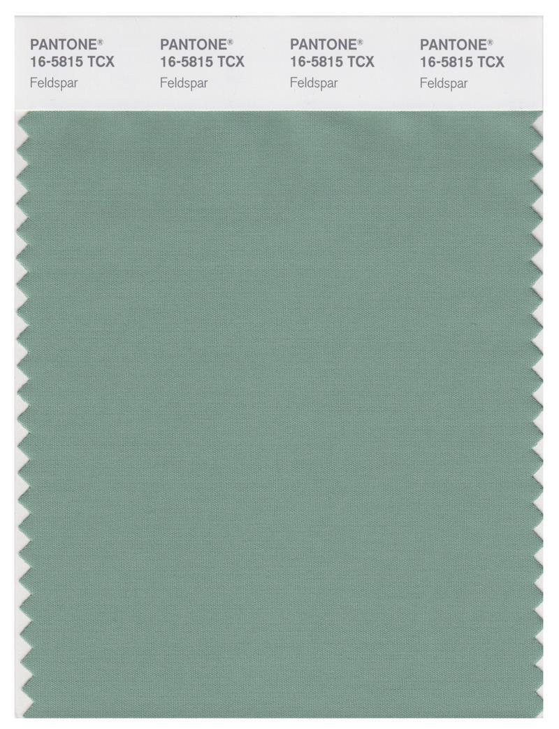Pantone Smart 16-5815 TCX Color Swatch Card | Feldspar | Magazine