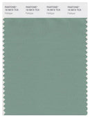 Pantone Smart 16-5815 TCX Color Swatch Card | Feldspar
