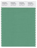 Pantone Smart 16-5820 TCX Color Swatch Card | Green Spruce