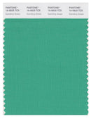 Pantone Smart 16-5825 TCX Color Swatch Card | Gumdrop Green