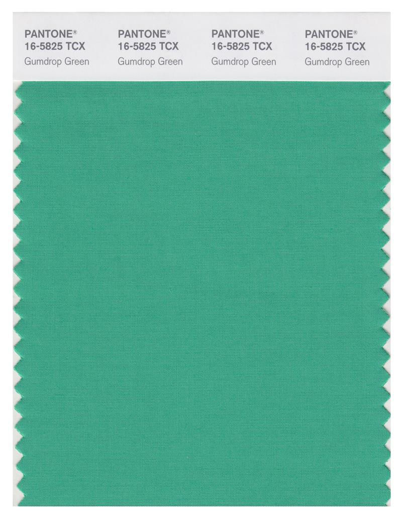 Pantone Smart 16-5825 TCX Color Swatch Card | Gumdrop Green